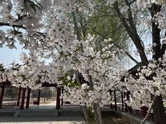 -张家湾公园