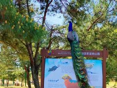 -鄱阳湖国家湿地公园