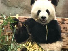 -无锡动物园·太湖欢乐园