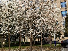 -东北大学(南湖校区)