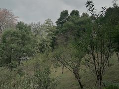 -乌山风景区