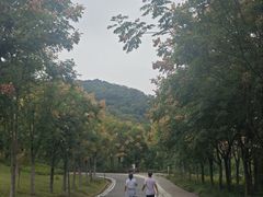 -南京市江宁方山