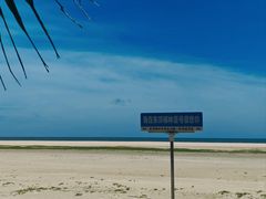 -东郊椰林