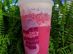 杨梅面霜·芝芝-蔻蔻椰·鲜萃椰子水(COCO Park店)