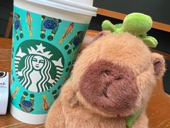 -星巴克(西安旺座现代城店)