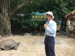 -广州长隆飞鸟乐园