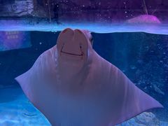 -沈阳海洋探索中心