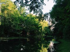 -长白岛森林公园