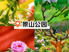 -景山公园