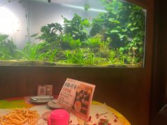 -华阳时光吧餐厅(华阳广场国际大饭店)