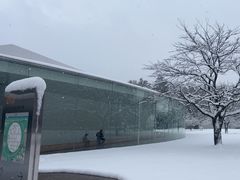 -金泽21世纪美术馆