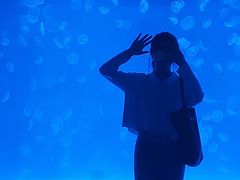 -多彩贵州城极地海洋世界