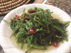 水性杨花-泸沽肴(泸沽湖大洛水村农村信用社旁店)