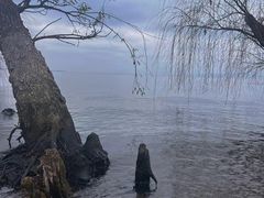 -捞渔河湿地公园