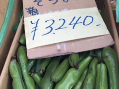 -台场海滨公园船码头