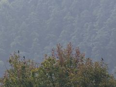 -敬亭山风景名胜区