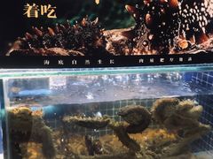 -川骄海鲜自助(河东店)