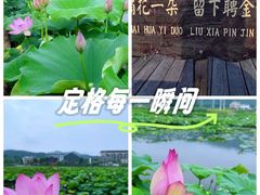 -梅州天地人花园酒店(梅县人民广场店)