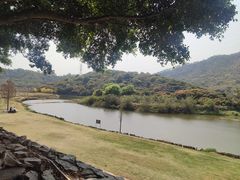 -风云岭森林公园