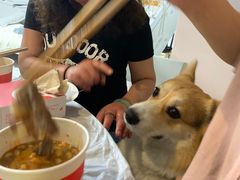 -海底捞火锅(老城根店)