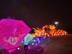 -武汉园博园(武汉自然博物馆)