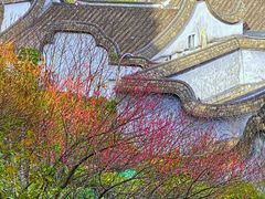 -乌山风景区