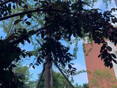 -大连理工大学(凌水校区)
