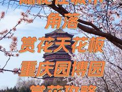 -重庆园博园