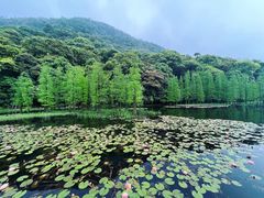 -广州市石门国家森林公园