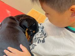 -和它·交个朋友·狗咖猫咖(爱琴海店)