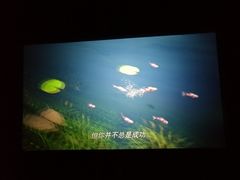-SFC上影影城(广州店)