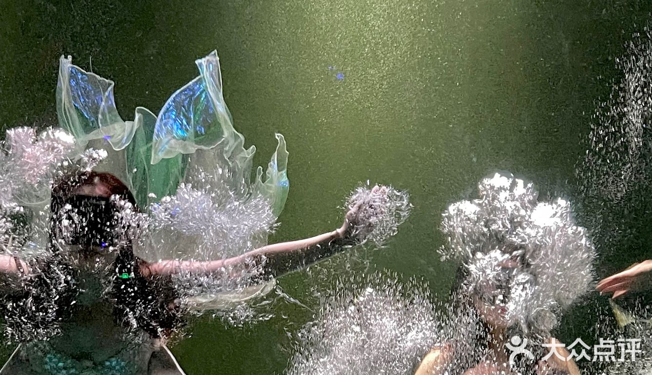 和美人鱼一起潜水啦