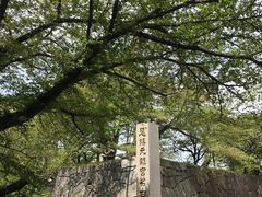 -名古屋城