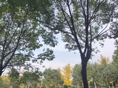 -拙味兄弟龙虾·江湖菜(和畅堂店)