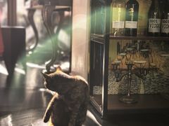 -EATALIA意塔利意式餐厅(鼓楼店)