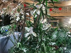 -云里小坐·海泉湾·团建·宴席·下午茶(金堂海泉湾店)