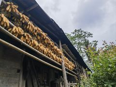 -龙窝子