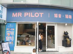 门面-飞行喵MR PILOT|猫舍·猫咖(静安大融城店)