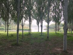 -东郊湿地公园