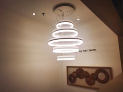 -THE LOG SALON 记录