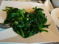 清炒大豆苗-欣叶食艺轩