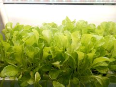 -1点点(河南中路店)