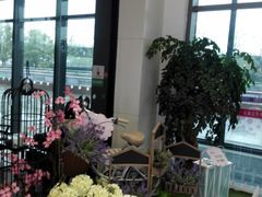 -紫荆广场·花漫里