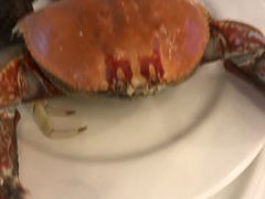 -鹭江潮餐厅•福建菜(鹭江佲家酒店)