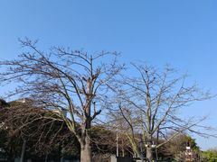 -恒力博纳广场