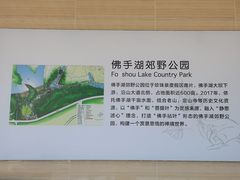 -佛手湖郊野公园