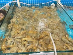 -渡海小渔村.老辈日照菜