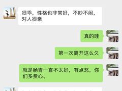 -柚子宠物(伊珊娜调理店)