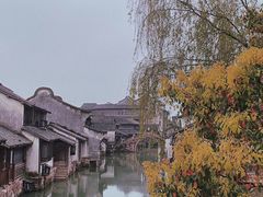-乌镇西栅景区
