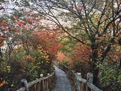 -秦岭终南山世界地质公园翠华山景区